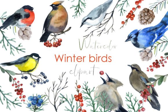 Watercolor Christmas Clipart: Winter Png Illustrations